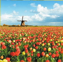 2012年旅游行业关键词 玩得个性化最关键