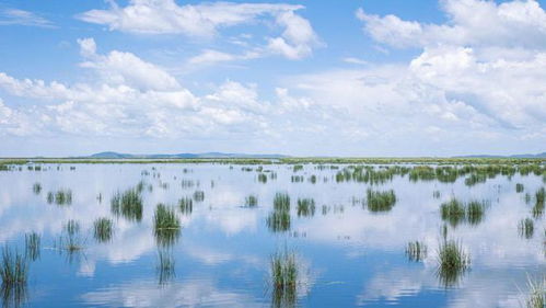 湿地旅游开发如何开展？晟景文旅 关键要做好五个方面